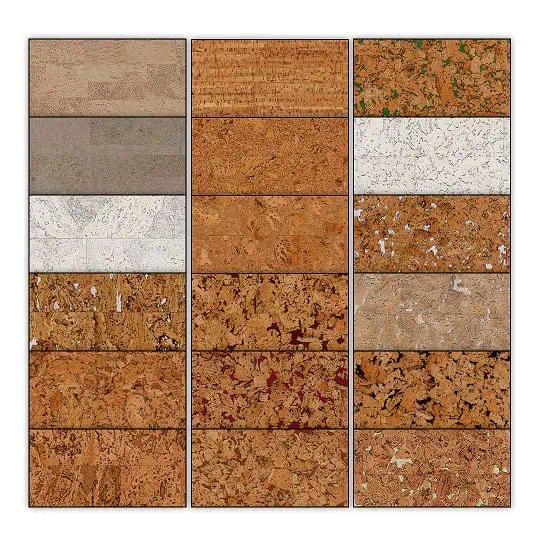 cork vastu vastu consultant